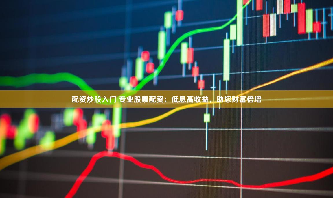 配资炒股入门 专业股票配资：低息高收益，助您财富倍增