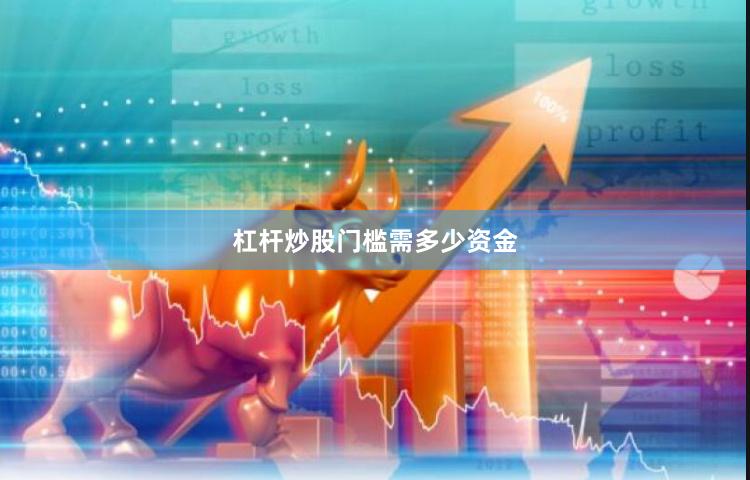 杠杆炒股门槛需多少资金