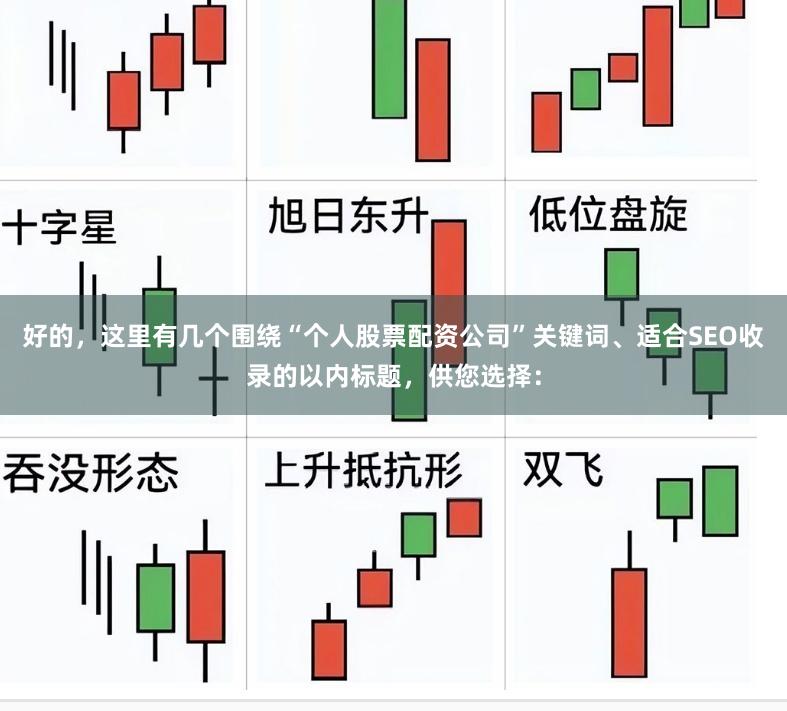 好的，这里有几个围绕“个人股票配资公司”关键词、适合SEO收录的以内标题，供您选择：