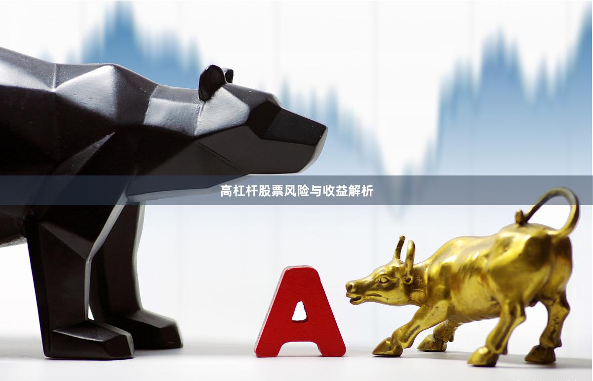 高杠杆股票风险与收益解析